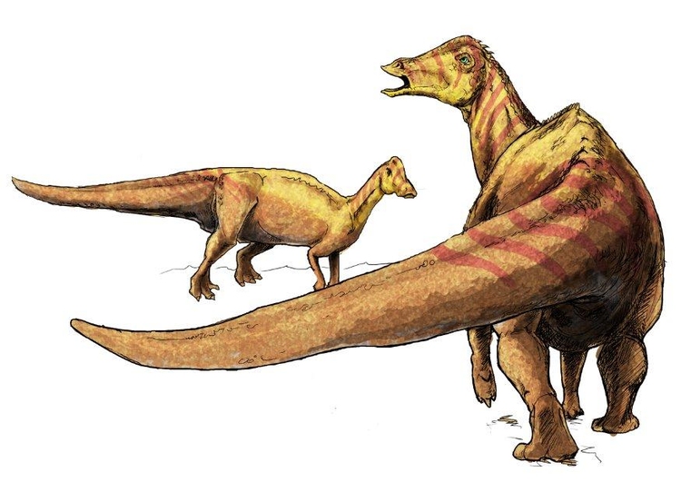 bilde Nipponosaurus