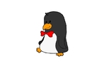 bilder pingvin