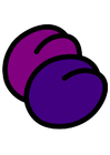 plommer