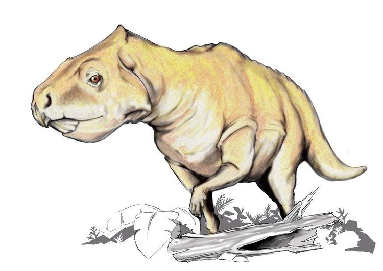 bilde Prenoceratops dinosaur