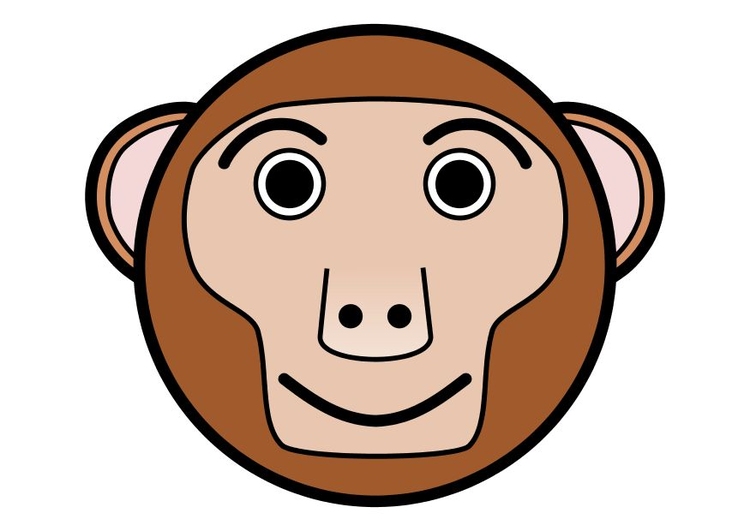 bilde r1 - ape