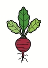 bilde reddik