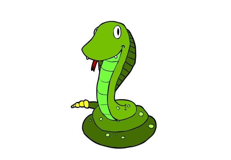bilde slange