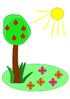 bilde sommer