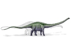 Supersaurus dinosaur