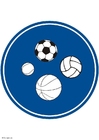bilde tillatte ballsporter