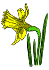 bilde villniss