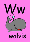 bilde w
