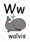 bilde w