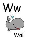 bilde w