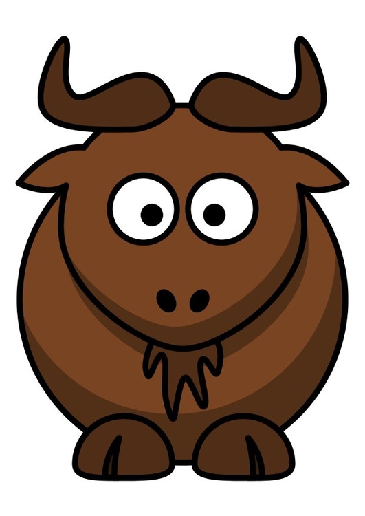 bilde z1 - buffalo
