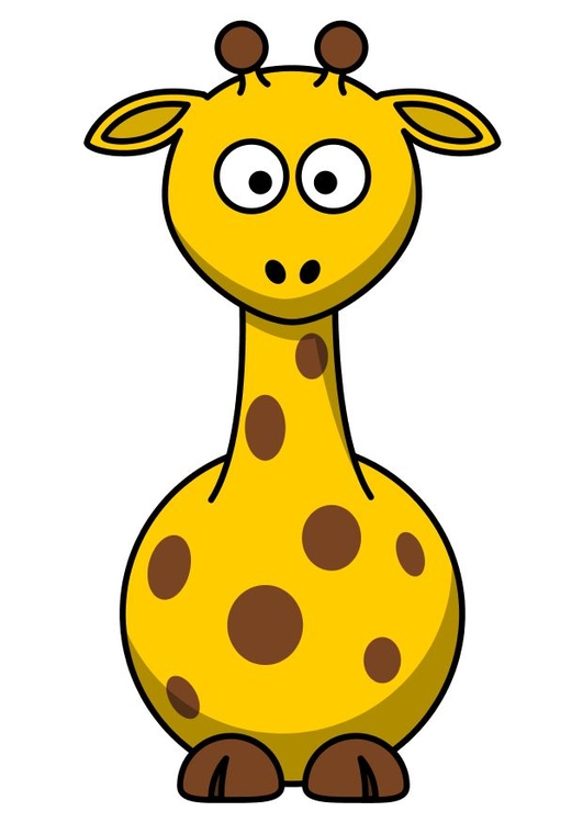 bilde z1 - giraff