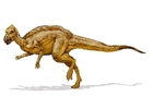 bilde Zalmoxes