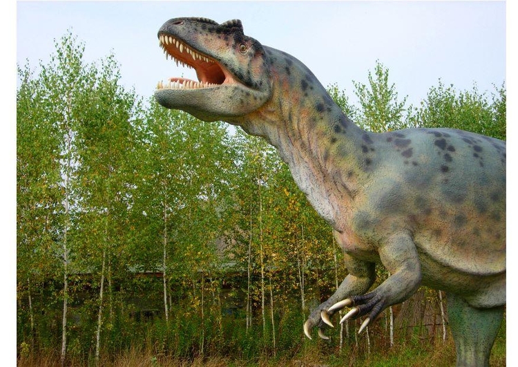 Foto Allosaurus replikk