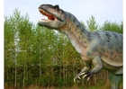 Fotografier Allosaurus replikk
