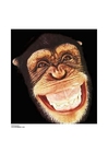 apekatt
