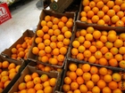 Foto appelsiner