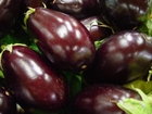 aubergine - eggeplante