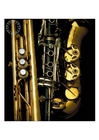 blåseinstrument