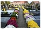 Fotografier blomster på en kirkegård