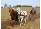Fotografier bonde som pløyer