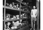 Buchenwalds konsentrasjonsleir