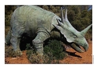 dinosaurer