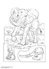 Fargeleggingsbilde elefant