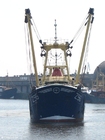 Foto fiskebåt