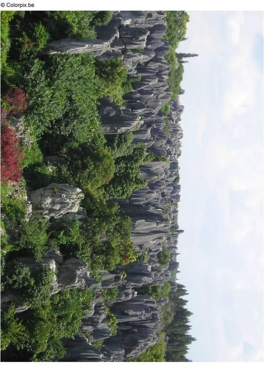 forsteinet skog i Kunming