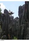 forsteinet skog i Kunming