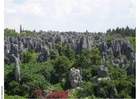 forsteinet skog i Kunming