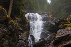 foss