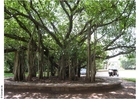Foto ghandimuseet i parken puna