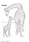 Fargeleggingsbilde giraff