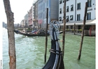 Foto gondoler i venezia
