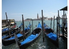 Foto gondoler i venezia