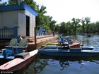 Foto gorki parken