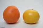 Foto grapefrukt
