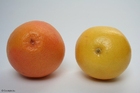 Foto grapefrukt