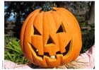 Foto gresskar halloween