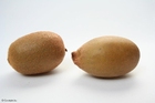 grønn og gul kiwi