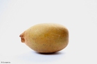 gul kiwi