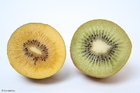 Foto gul og grÃ¸nn kiwi
