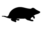 Fargeleggingsbilde hamster