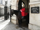 Husholdningskavaleri London