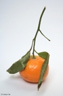 Foto klementiner
