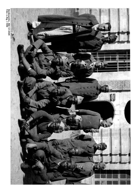 koloniale krigsfanger i Frankrike