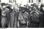 Foto mauthausen konsentrasjonsleir - russiske krigsfanger (2)
