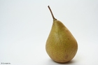 Foto pÃ¦re